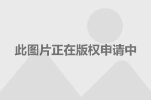  哈兰德破纪录领跑射手榜，金靴之争白热化